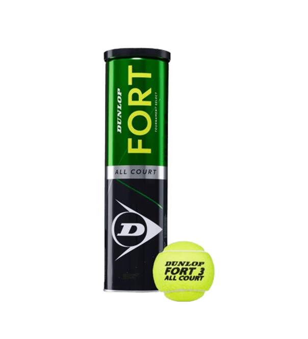 Hovedbilde Dunlop Fort All Court (4 ...